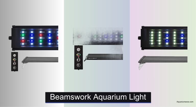 4 Best Beamswork Aquarium Lights of 2026