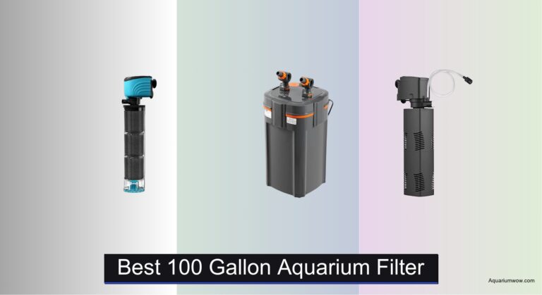 7 Best 100 Gallon Aquarium Filters of 2026