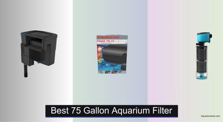 7 Best 75 Gallon Aquarium Filters of 2026