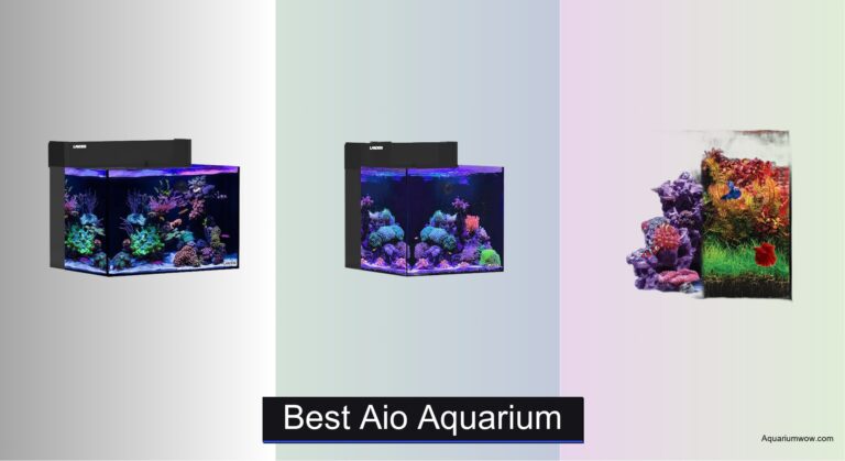 8 Best AIO Aquariums of 2026
