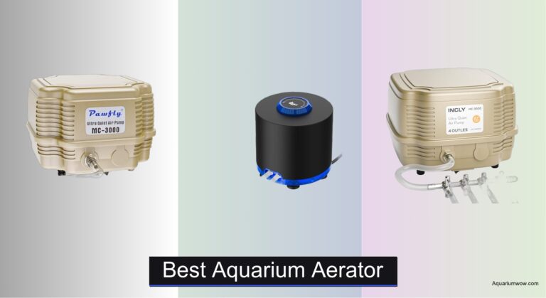 8 Best Aquarium Aerators of 2026