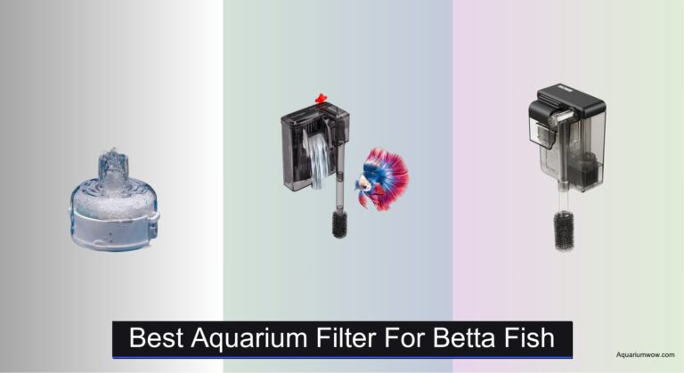7 Best Aquarium Filters for Betta Fish 2026