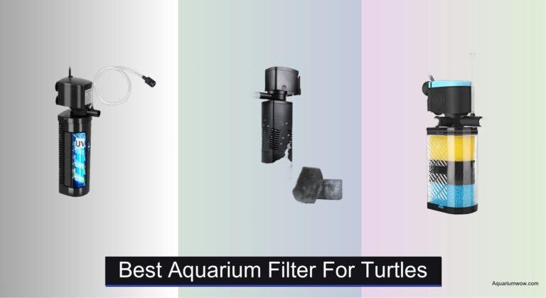 7 Best Aquarium Filters for Turtles 2026