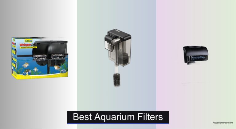 8 Best Aquarium Filters of 2026
