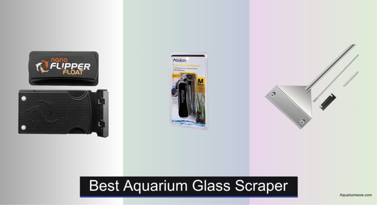 7 Best Aquarium Glass Scrapers of 2026