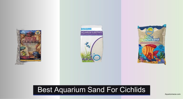 7 Best Aquarium Sands for Cichlids 2026