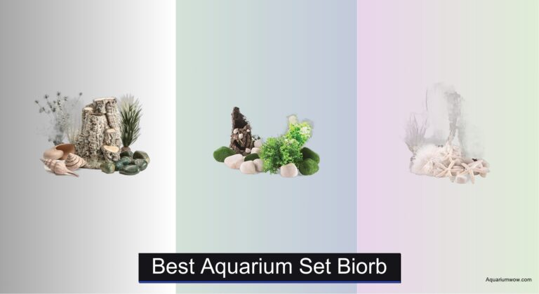 7 Best Aquarium Set Biorb of 2026
