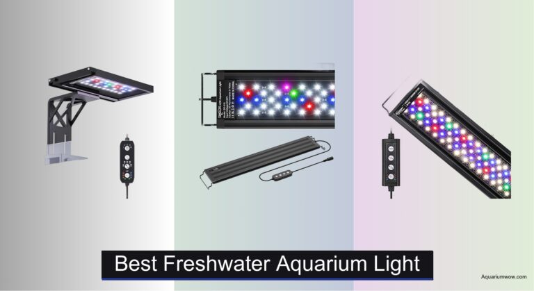 7 Best Freshwater Aquarium Lights of 2026