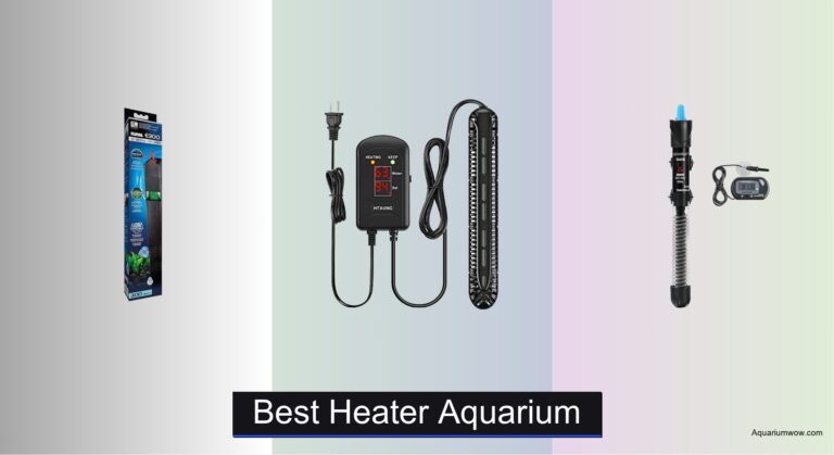 7 Best Aquarium Heaters of 2026
