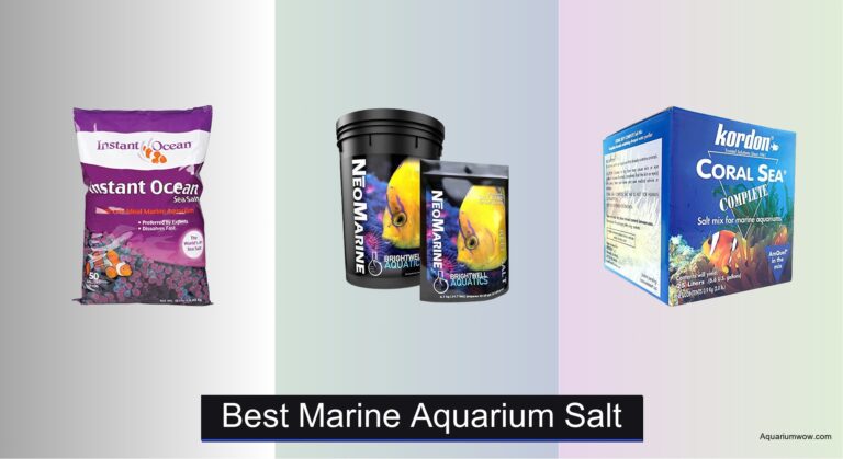7 Best Marine Aquarium Salts of 2026