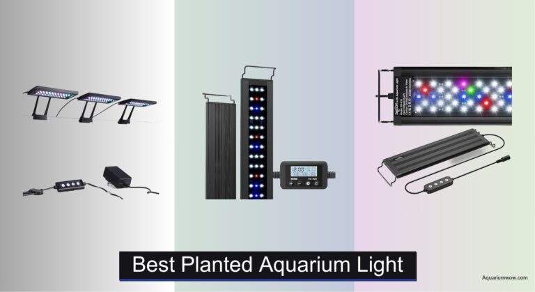 8 Best Planted Aquarium Lights of 2026