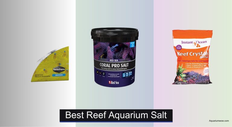 7 Best Reef Aquarium Salts of 2026