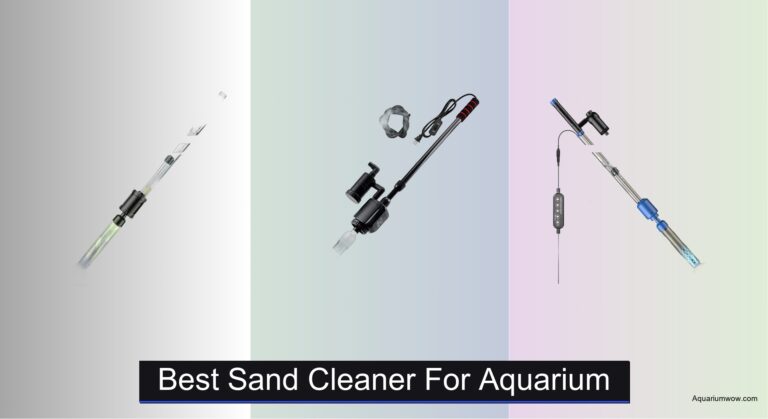 8 Best Sand Cleaners for Aquarium (2026 Guide)