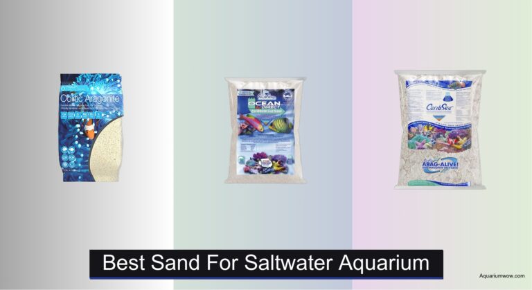 7 Best Sands for Saltwater Aquarium 2026