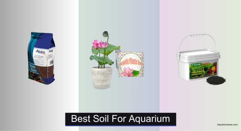 7 Best Soils for Aquarium (2026 Guide)