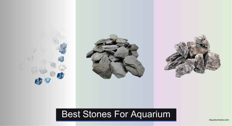 8 Best Stones for Aquarium (2026 Guide)