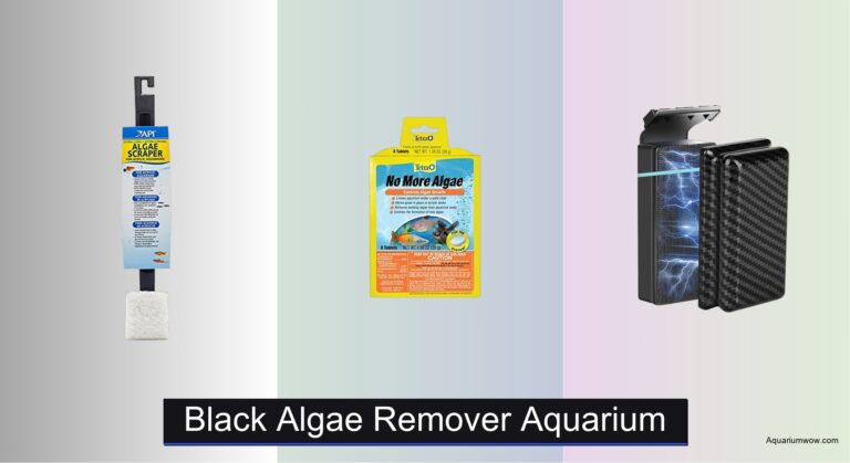 9 Best Black Algae Removers for Aquariums 2026
