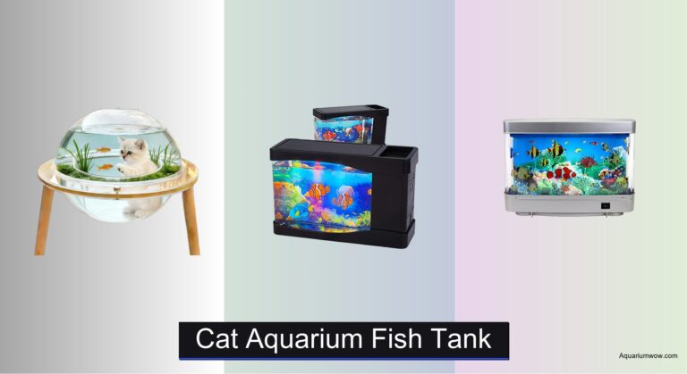8 Best Cat Aquarium Fish Tanks of 2026
