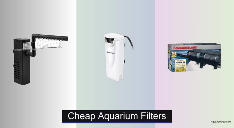 8 Best Cheap Aquarium Filters 2026