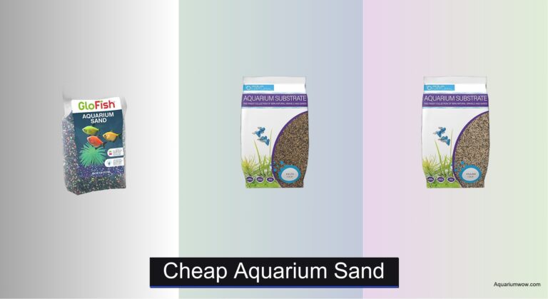 7 Best Cheap Aquarium Sand Options 2026