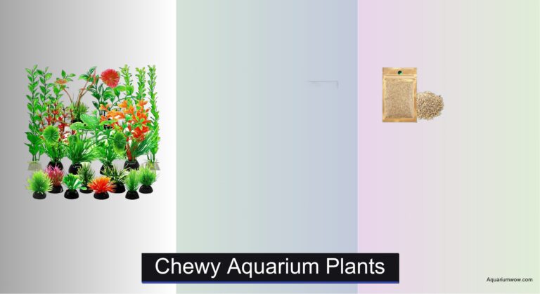 7 Best Chewy Aquarium Plants of 2026