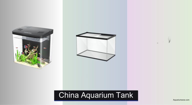 4 Best Aquarium Tanks from China 2026
