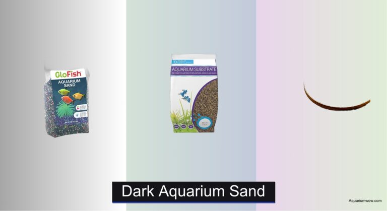 7 Best Dark Aquarium Sands of 2026
