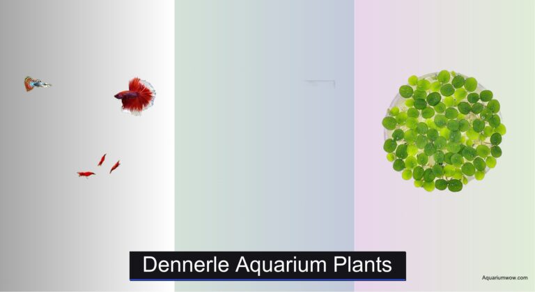 7 Best Dennerle Aquarium Plants of 2026