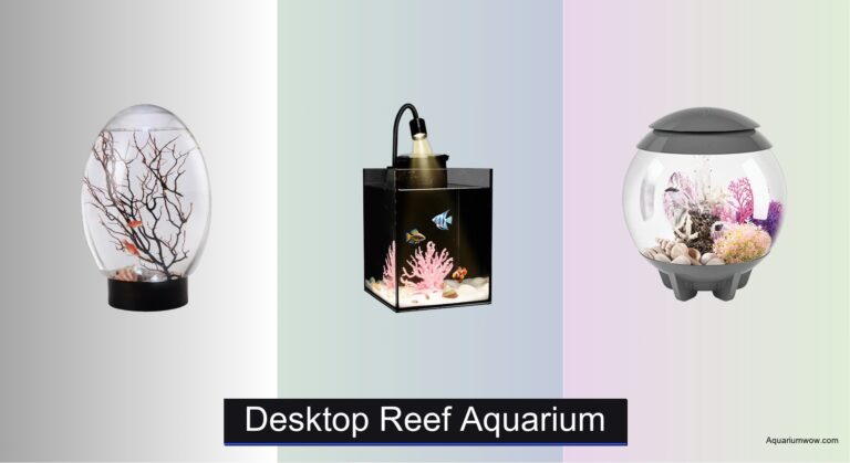 7 Best Desktop Reef Aquariums of 2026