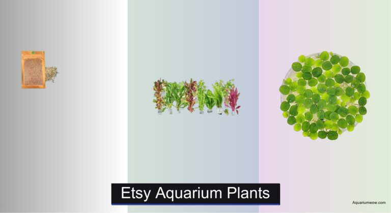 8 Best Etsy Aquarium Plants 2026
