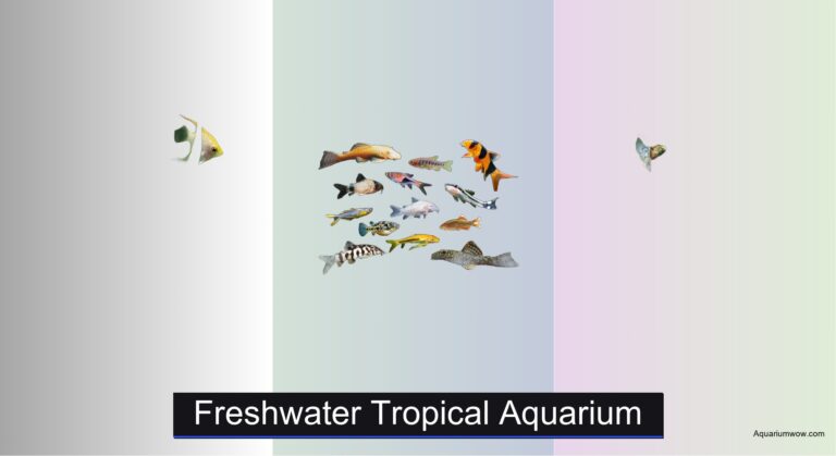 7 Best Freshwater Tropical Aquariums of 2026