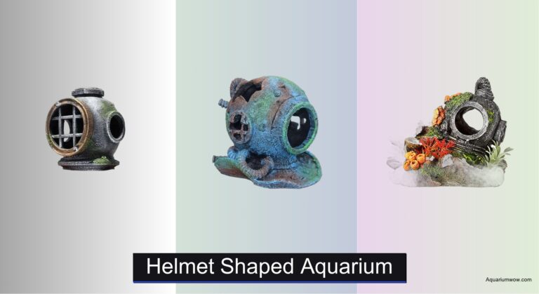 4 Best Helmet Shaped Aquariums of 2026