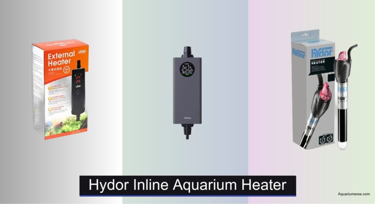 4 Best Hydor Inline Aquarium Heaters of 2026