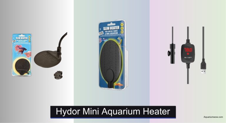 5 Best Hydor Mini Aquarium Heaters of 2026