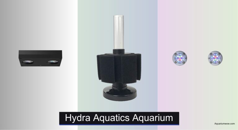 7 Best Hydra Aquatics Aquariums of 2026