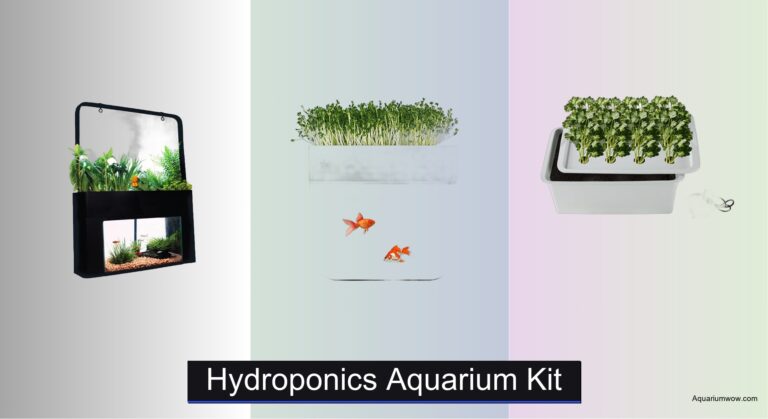7 Best Hydroponics Aquarium Kits of 2026
