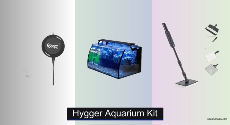 7 Best Hygger Aquarium Kits of 2026