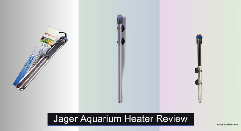 6 Best Jager Aquarium Heaters of 2026