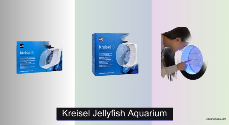 4 Best Kreisel Jellyfish Aquariums of 2026