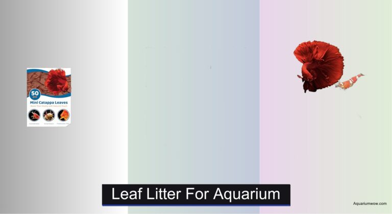 8 Best Leaf Litter for Aquarium (2026 Guide)
