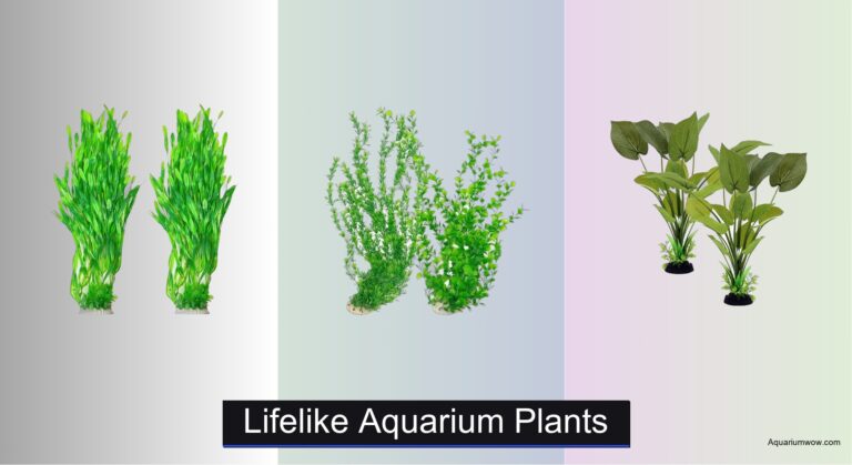 7 Best Lifelike Aquarium Plants of 2026