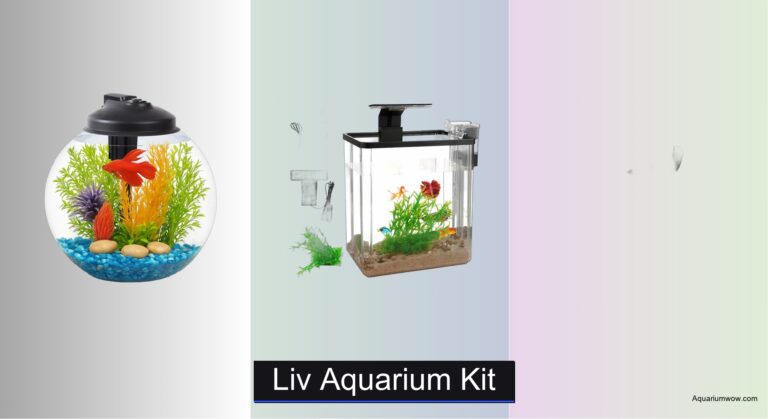 5 Best Liv Aquarium Kits of 2026