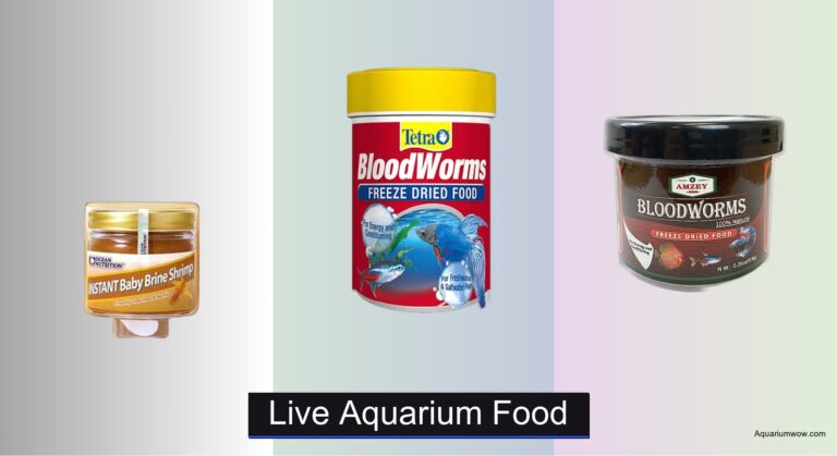 7 Best Live Aquarium Foods of 2026