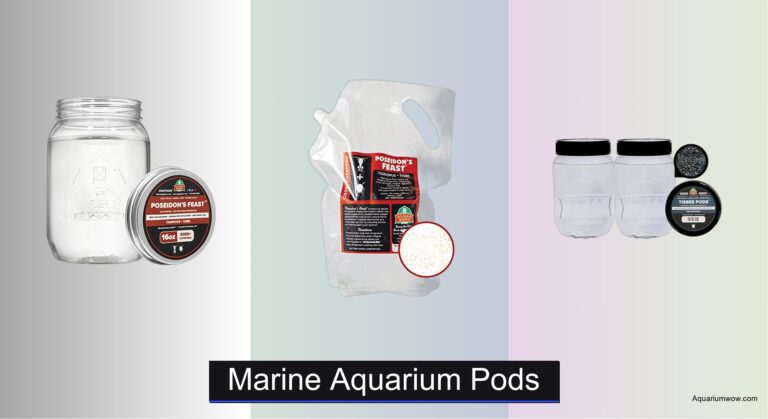 7 Best Marine Aquarium Pods of 2026
