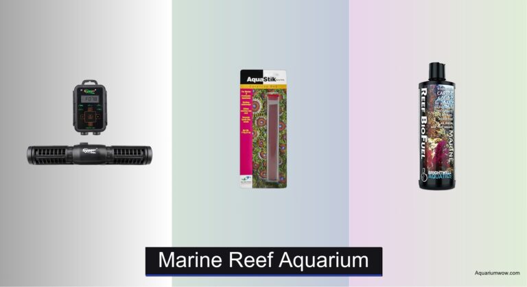8 Best Marine Reef Aquariums of 2026