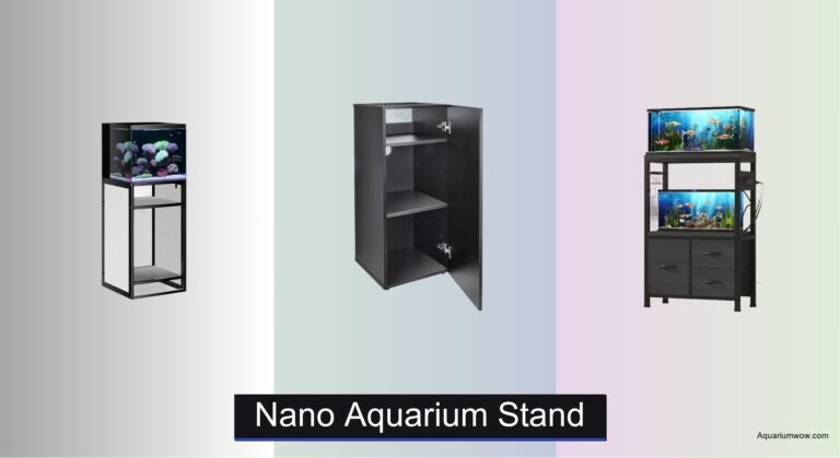 7 Best Nano Aquarium Stands of 2026