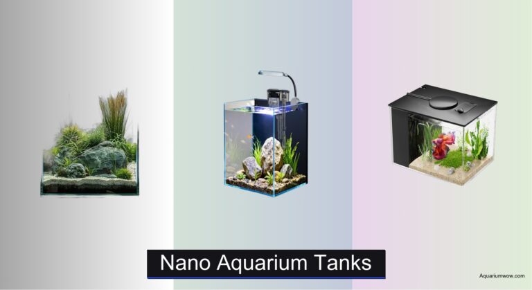7 Best Nano Aquarium Tanks of 2026