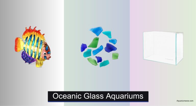 3 Best Oceanic Glass Aquariums of 2026