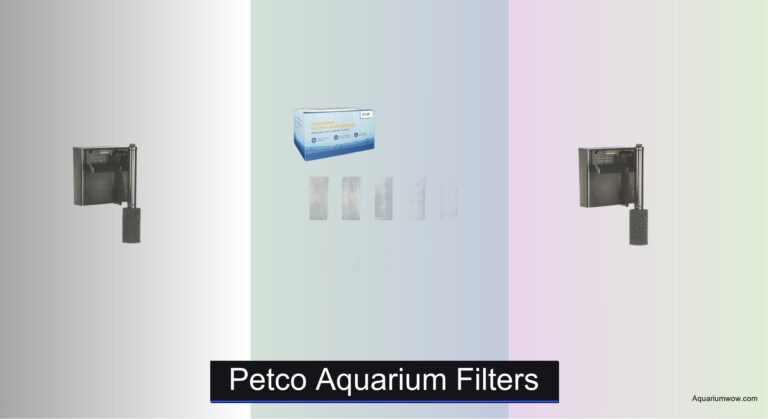 7 Best Petco Aquarium Filters of 2026
