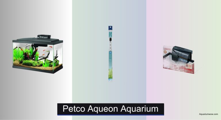 7 Best Petco Aqueon Aquariums of 2026